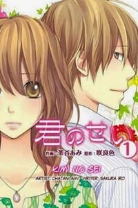 Kimi no Sei